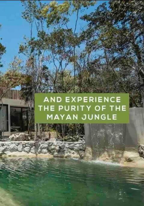 Villa Xuncari In The Heart Of The Jungle Tulum Extérieur photo